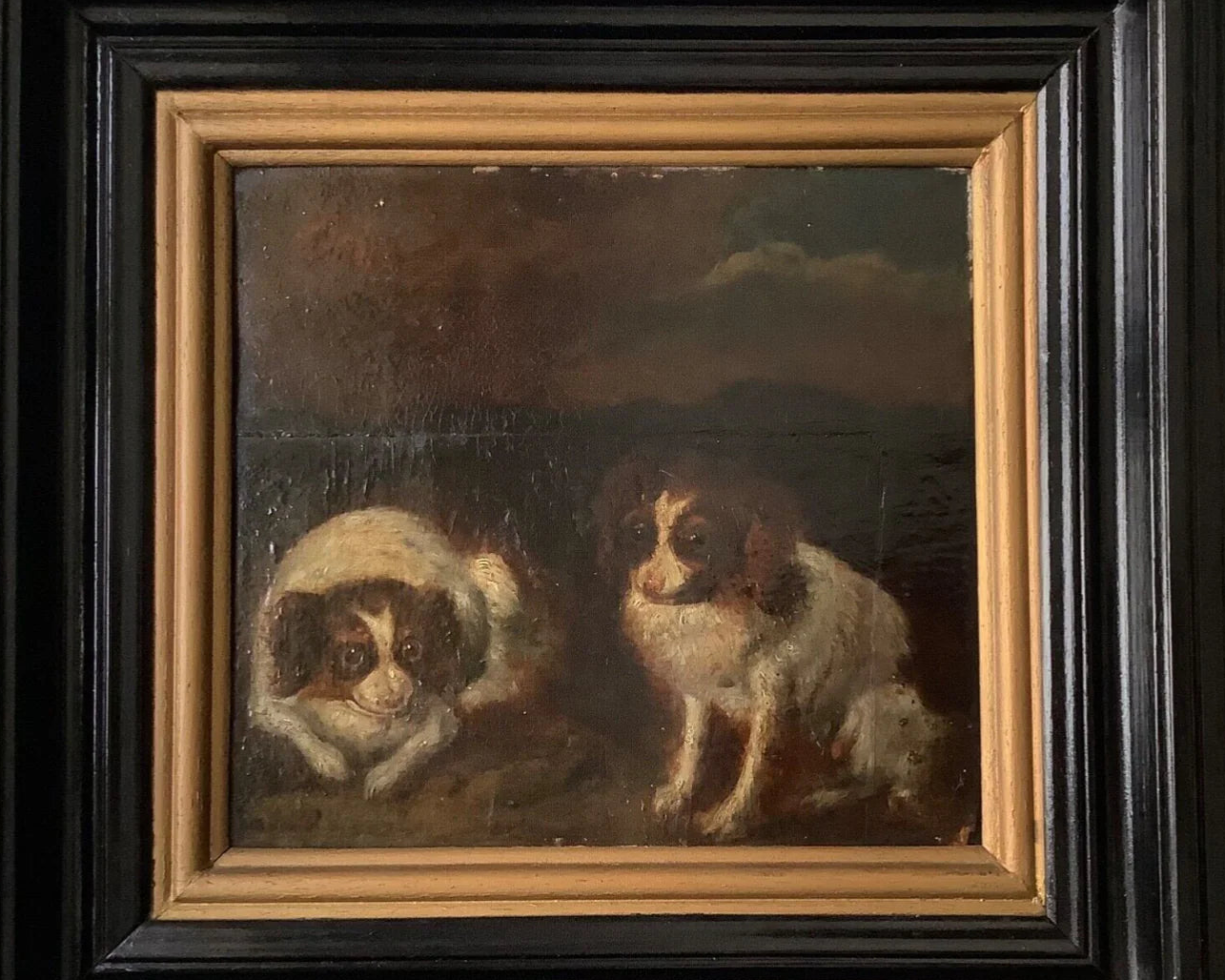 Collecting Antique Dog Portraits