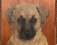Antique Animal Paintings