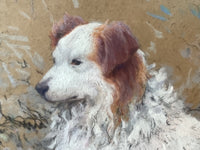 Gaston Simoes de Fonseca (1874-1943), Portrait of a Dog "Pipo", Signed Gouache on Paper, Early 20th Century, Framed
