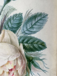 School of Redoute Botanical Watercolor on Vellum, White and Purple Roses, Early 19th Century French Original, Framed