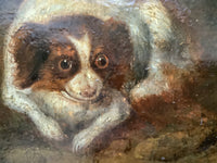 Circle of Alexandre Francois Desportes (1661-1743), Portrait of Two King Charles Spaniels, Oil on Panel, 17th Century, Framed