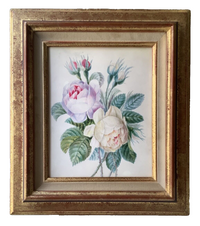 School of Redoute Botanical Watercolor on Vellum, White and Purple Roses, Early 19th Century French Original, Framed