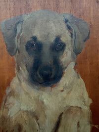 Charles Joshua Chaplin (1825-1891), Portrait of a Labrador Puppy, Signed and Dated 1882, Oil on Mahogany Panel, Framed