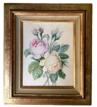 Two roses in lilac and cream on vellum, a 19th century French botanical study in a moulded gilt frame