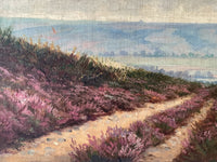 Macro of the track showing the stones set down one by one across the sand and the heather in dry rose strokes, the valley beyond thinned to bare weave