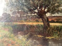 Detail of the near bank with iris blades and the yellow leaves floating on the water